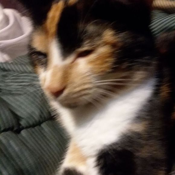 Meet your Posher, James - Picture 1 of 1